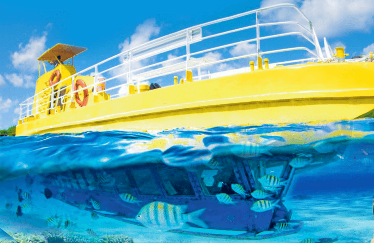 Paradise Sub See Explorer 